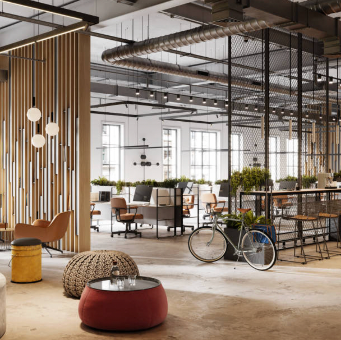The Debt-Free Startup: Building Your Empire On Insight, Not Interest