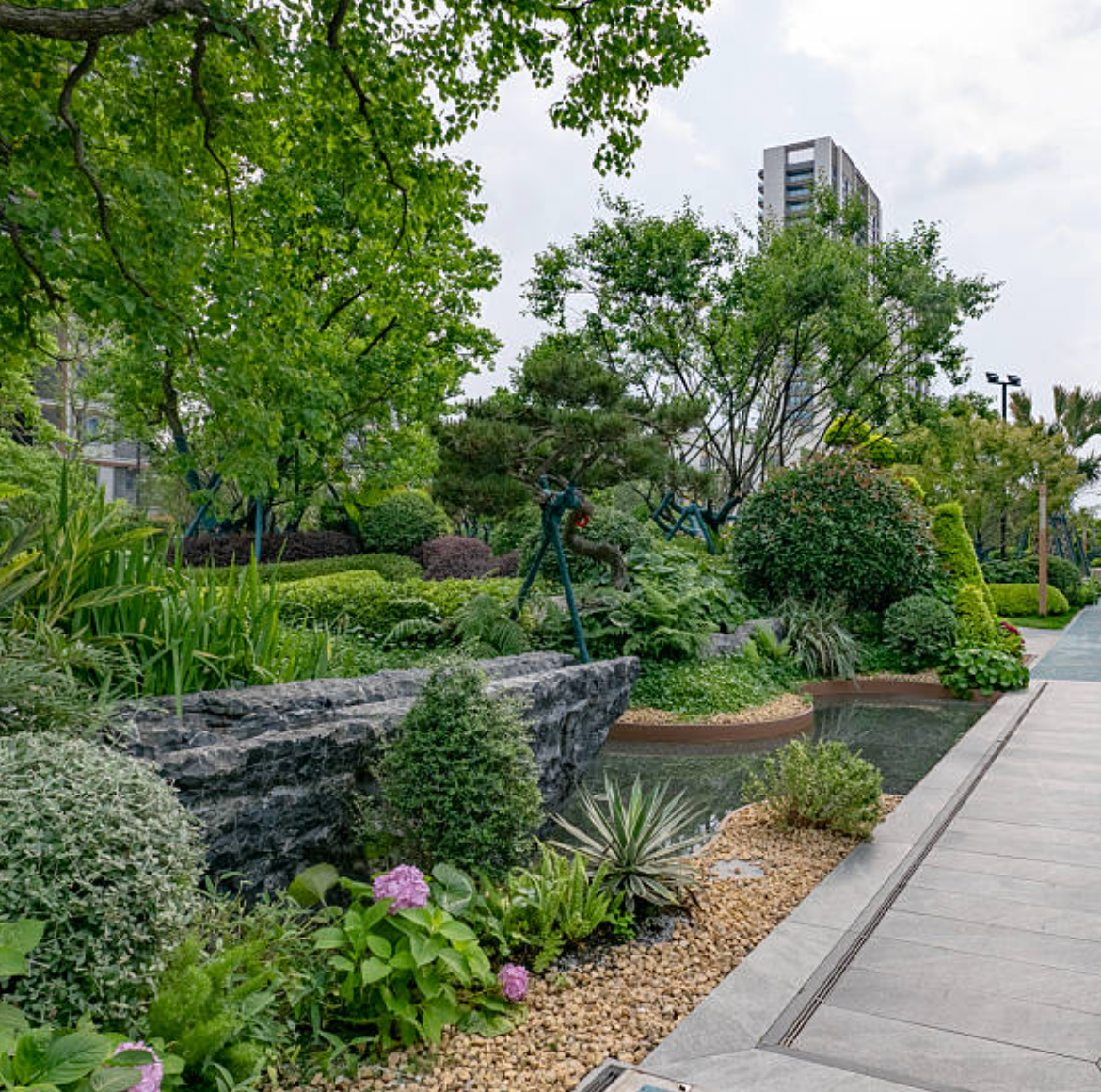 How Carbon-Absorbing Ecosystems Create Thriving Municipalities
